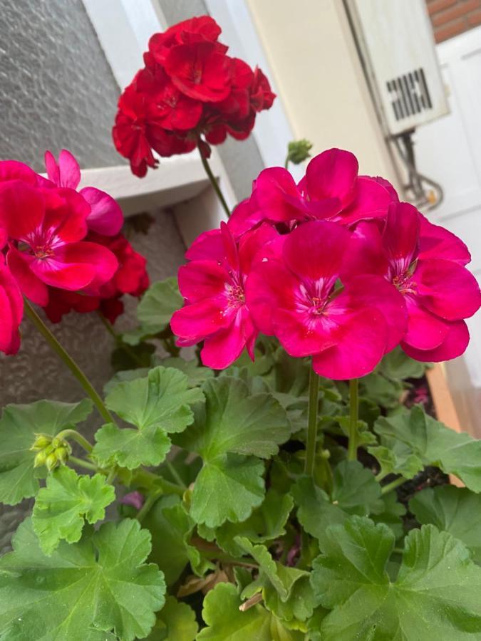 Bed and Breakfast La Negrita Host Sucre Exterior foto